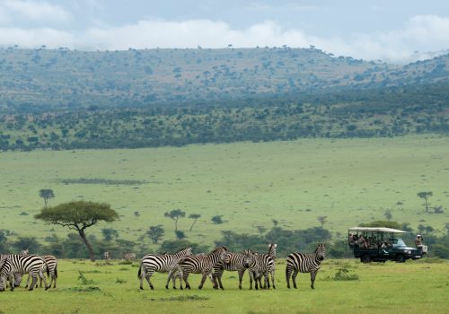 andBeyond, safari, africa