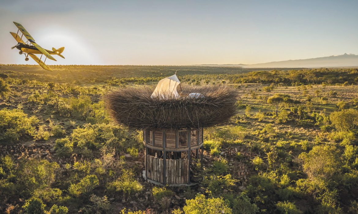 Segera's Nay Palad Bird Nest in Kenya
