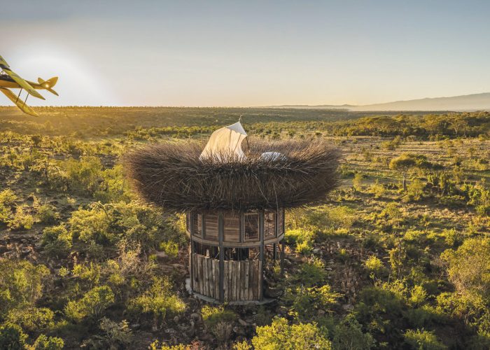 Top of the World: Segera’s Bird Nest in Kenya is a Luxurious 1,200 USD-a-night Avian-Style Lodge For Two