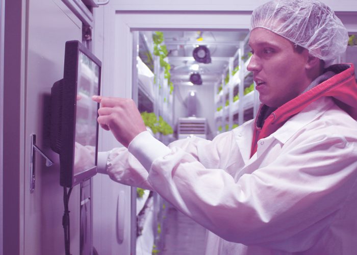 Emirates is Building the World’s Largest Vertical Farm to Supply In-Flight Catering 